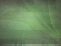 Azada Green Azada Green