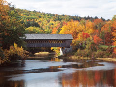 Bridge 1 Bridge 1