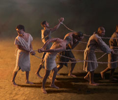 Captives Captives
