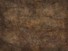 Classio Brown Classio Brown