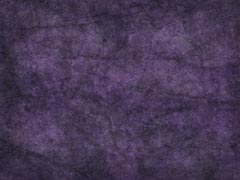 Classio Purple Classio Purple