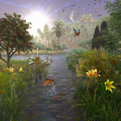 Creation Day 5 Creation Day 5