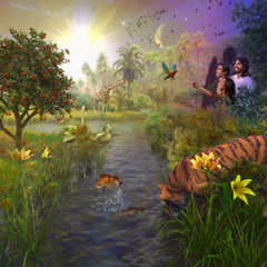 Creation Day 7 Creation Day 7