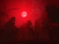 Blood Moon Blood Moon