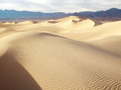 Desert Desert