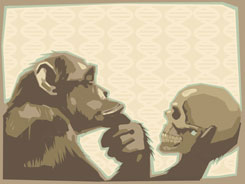 Evolution Evolution