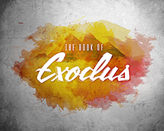 Exodus Paint Exodus Paint