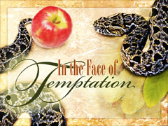 Face of Temptation Face of Temptation
