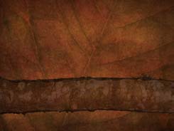 Feuille Copper Feuille Copper