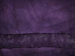 Feuille Violet Feuille Violet