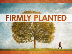 Firmly Planted Firmly Planted