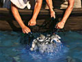 Fishermen