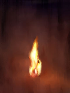 Flame Flame