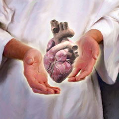 Heart of Flesh Heart of Flesh