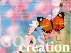 God's Creation God's Creation