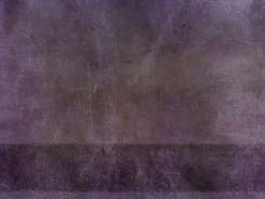 Gratia Purple Gratia Purple