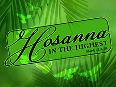 Hosanna Hosanna