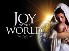 Joy of the World Joy of the World