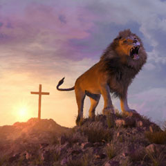 Lion of Judah Lion of Judah