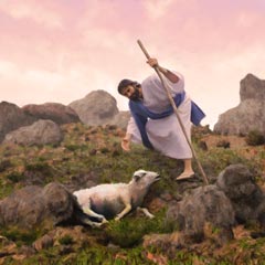 Lost Sheep Lost Sheep