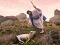 Lost Sheep