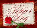 Mothers Day Rose
