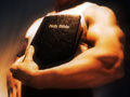 Muscle