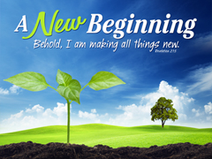 New Beginning New Beginning