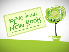 New Roots New Roots