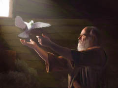Noah's Hope Noah's Hope