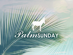 Palm Sunday Palm Sunday