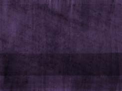 Panera Purple Panera Purple