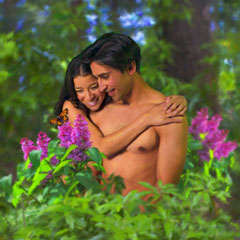 Paradise Paradise
