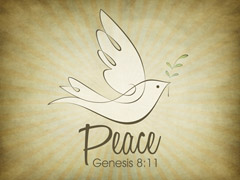 Peace Peace
