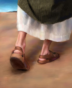 Sandals Sandals