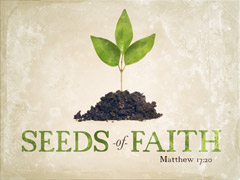 Seeds of Faith Seeds of Faith