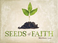 Seeds of Faith