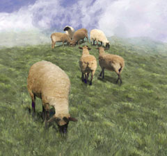Sheep 2 Sheep 2