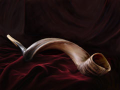 Shofar Shofar