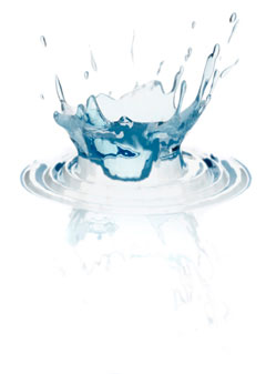 Splash Splash