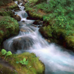 Spring Water Spring Water
