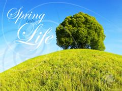 Spring into Life Spring into Life