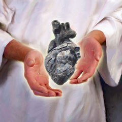 Heart of Stone Heart of Stone