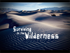 Surviving in the Wilderness Surviving in the Wilderness