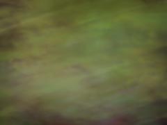 Tempestro Green Tempestro Green