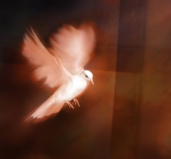 The Spirit The Spirit
