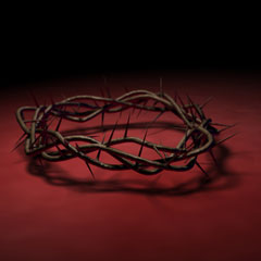 Thorns Thorns