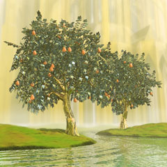 Tree of Life Tree of Life