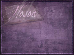 Book of Hosea Book of Hosea